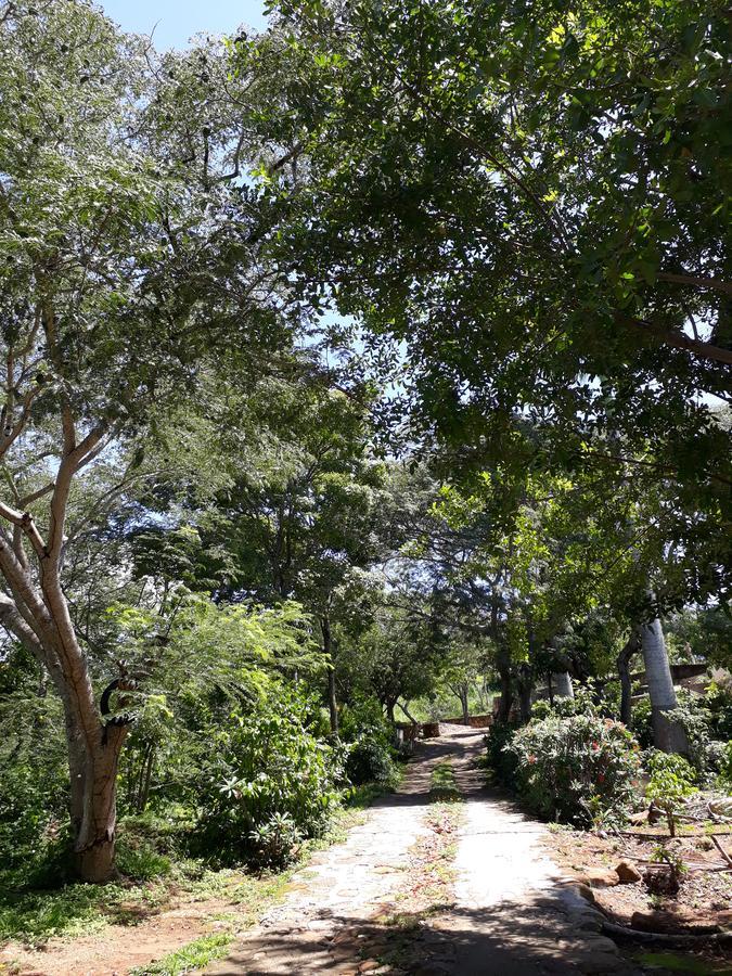 Cafe Do Brejo