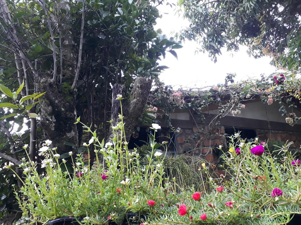 Inn Cafe Do Brejo *